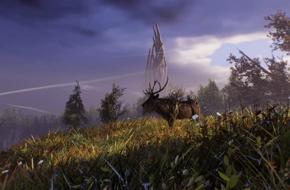 2_WH_580x380px.jpg