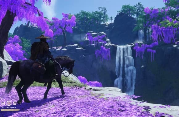 6_WH_580x380px.jpg
