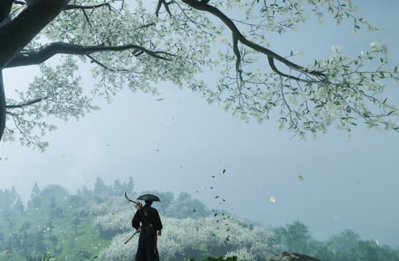 7_WH_580x380px.jpg