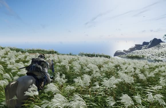 8_WH_580x380px.jpg