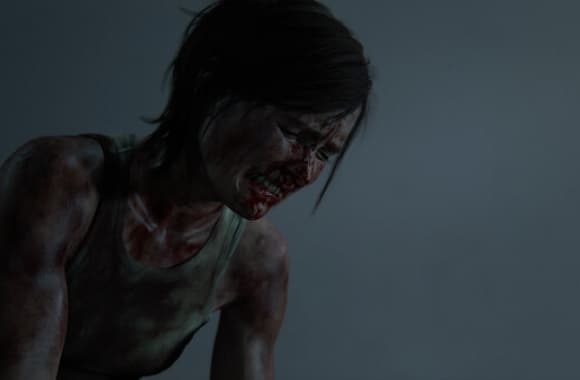 6_WH_580x380px.jpg