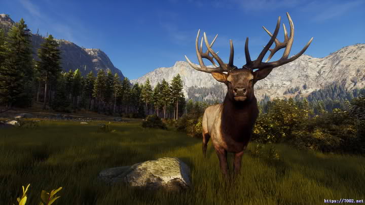 狩猎之道 v1.27.2WayOfTheHunter中文|支持手柄|猎人之路--游戏本体-绿色免安装-解压即玩~