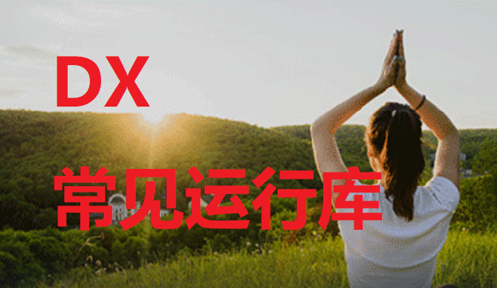 DX常见运行库环境-