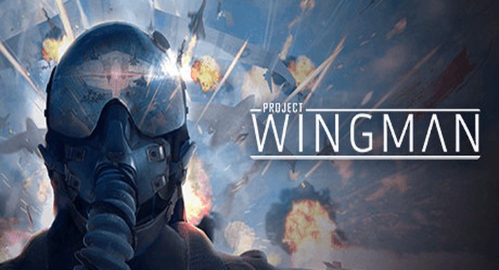 僚机计划 v2.1.1A Project Wingman-下载-游戏本体-绿色免安装-解压即玩~