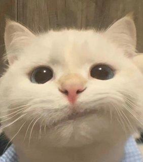 好玩爱玩